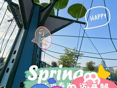 -上海山野camping·户外天幕烧烤·团建拓展营地