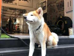 -YCHL Studios健身工作室(市二宫店)
