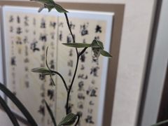 -墨池公园