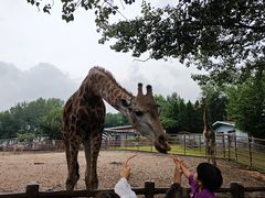 -大连森林动物园