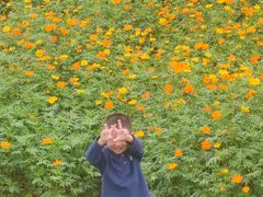 -杏花村文化旅游区