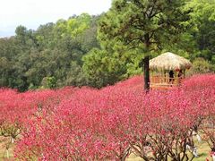 -广州莲花山旅游区