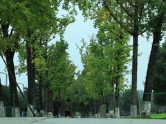 -重庆中央公园(渝北区)