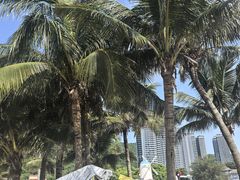-玫瑰海岸文化旅游度假区