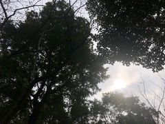 -重庆市江北嘴中央商务区中央公园