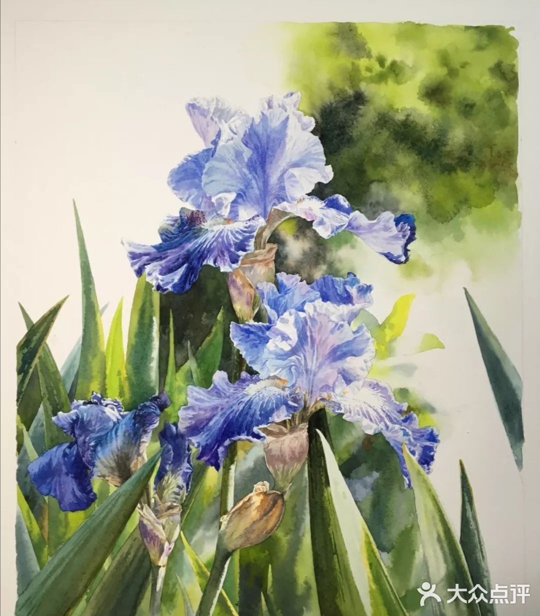 水彩画家付愈水彩静物[礼花][礼花]