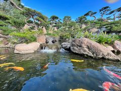 -罗红摄影艺术馆