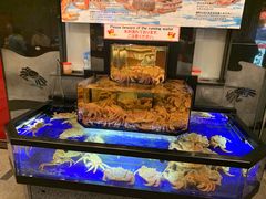 -蟹道乐(道顿堀本店)