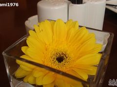 桌上的小花-上海丽笙精选海仑宾馆·莫赛克餐厅