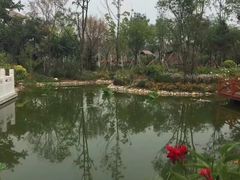 -武清南湖绿博园