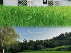 -北坞公园