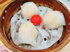 -点都德(世纪汇店)
