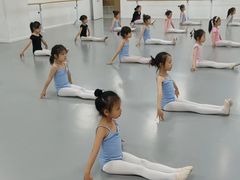 -西安小天鹅艺术团(金花路校区)