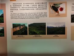 -中国茶叶博物馆(双峰馆区)
