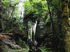 -梭布垭石林景区