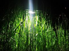 -WEPARK 芳草寓