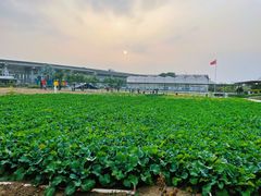 -新地休闲农场