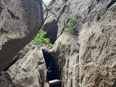 -大岭沟猕猴桃谷风景区