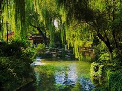 -趵突泉景区