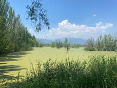 -野鸭湖国家湿地公园