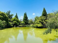 -上海滨江森林公园