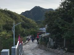-大岭沟猕猴桃谷风景区
