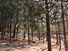 -白水寺森林公园