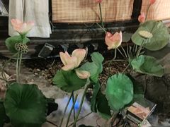 -福满我家大碗厨·湘菜(上海大厦店)