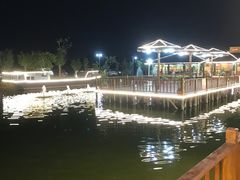 -一煲鸽