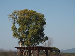 -良渚古城遗址公园