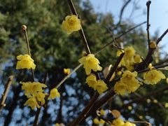 -月坛公园