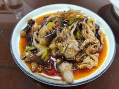 -日丰园海肠水饺·老字号大连海鲜(小平岛总店)