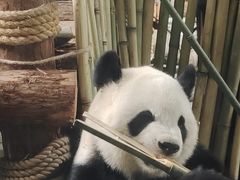 -泉州海丝野生动物世界