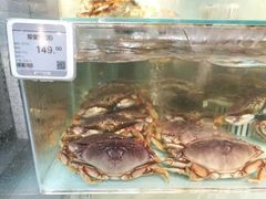 -超级物种(省府店)