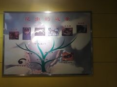 -上海昆虫博物馆