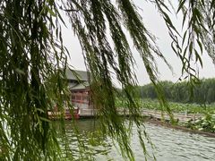 -济南大明湖景区