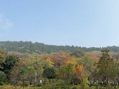 -云龙湖旅游景区