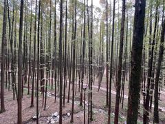 -山王坪喀斯特国家生态公园