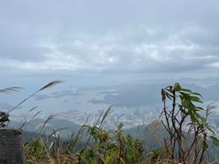 -梧桐山风景名胜区