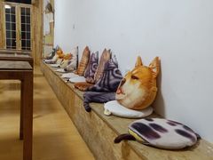 -猫色咖啡·猫咖