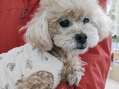 -美联众合动物医院·24h转诊中心
