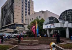 -上海交通大学医学院附属上海儿童医学中心(陆家嘴总院区)