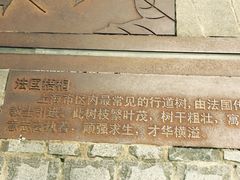 -徐家汇源景区-衡山坊