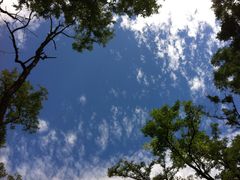 景点-顺鑫绿色度假村