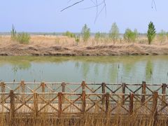 -野鸭湖国家湿地公园