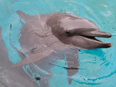 -珠海长隆海洋王国