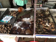 -毕家疃综合市场