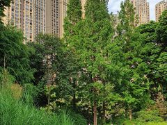 -成都市活水公园