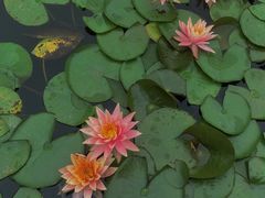 -白鹭湾湿地公园