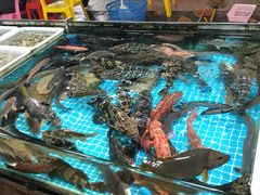 -都斛海鲜街